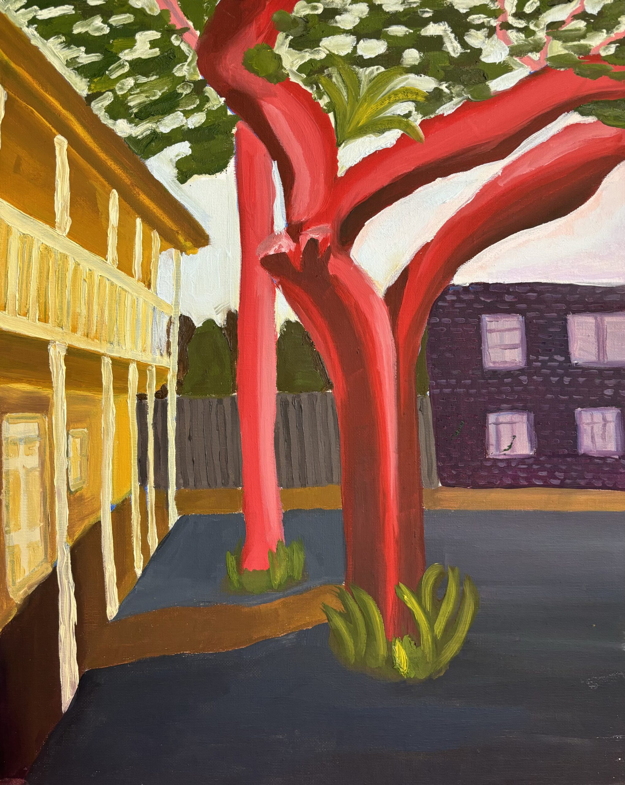 Backyard (12×16′)